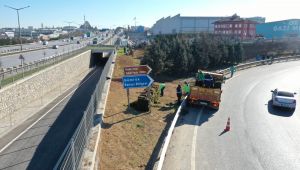 Stadın çimleri, Gebze Doğu Kavşağı’na seriliyor