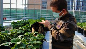 Türkiye, bu uygulamalarla tarımda devrime hazırlanıyor