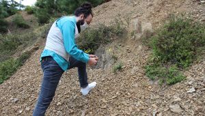 400 milyon yıllık fosiller heyecan uyandırıyor