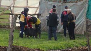 Ahırda kardeşinin cesedini buldu