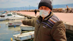 Balıkçıların korkulu rüyası İzmit Körfezi’ni esir aldı