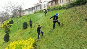 Başiskele'de yeşil alanlar yaza hazırlanıyor