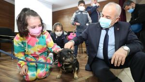 Büyükgöz: Hayvanları daima sevelim, koruyalım