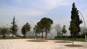 Darıca sahil parkına çevre düzenlemesi