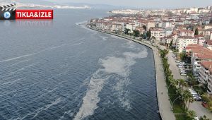 Deniz salyası İzmit Körfezi’ni beyaza bürüdü