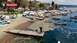 Deniz yüzeyini kaplayan tabaka balıkçılara darbe vurdu