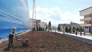 Derince’de Çalışmalar Sürüyor