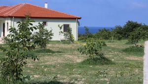 Evini ateşe verdiği kardeşini öldüren şahsa ağırlaştırılmış müebbet talebi