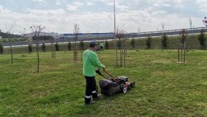 Gebze bölgesindeki yeşil alanlar yaza hazırlanıyor