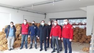 Gebze'de 70 ton patates dağıtılmaya başladı