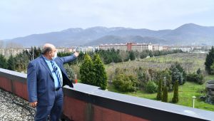 Hastalıklı meyve ağaçları rehabilite edilecek