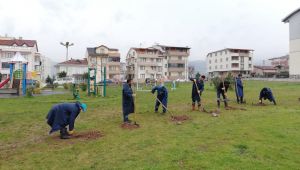 Hedef Daha Yeşil Bir Derince