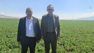 ISPARTARIM hasat için gün sayıyor!