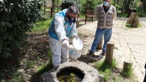 İzmit'te sivrisinekle mücadele sürüyor