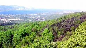 Kartepe'de bahçeler çiçek açacak