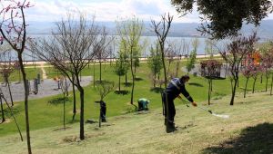 Körfez’de bahar temizliği
