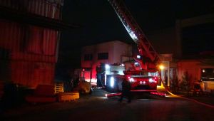 Palet fabrikasında korkutan yangın