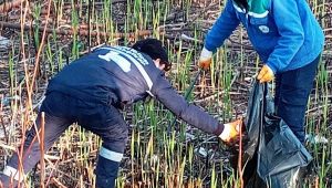 Sapanca Gölü'nde temizlik çalışması