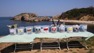 Sardala koyu yaza hazır