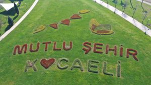 Seka Park’ta laleler çiçek açtı