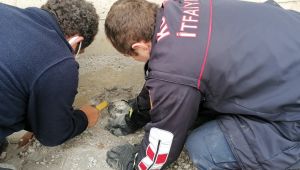 Sıkışan kaplumbağayı kurtarabilmek için 1 saat uğraştılar