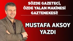 Sözde Gazeteci, Özde Yalan Makinesi Gaztenekesi!