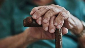 'YAGEP' ile yaşlılara yönelik hizmetler geliştirilecek