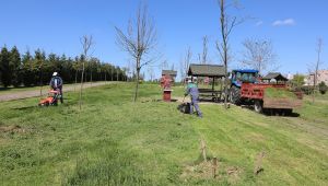 Yeşil alanlarda temizlik çalışması