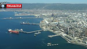 Balıkçıların korkulu rüyası İzmit Körfezi’ni terk etti