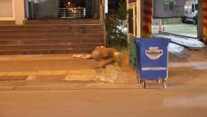 Banka şubesinin önünde bomba paniği!