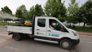 Başiskele'de vektörle mücadele başladı