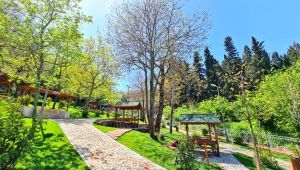 Başkan Büyükakın, ‘’Daha yeşil bir kent için durmadan çalışıyoruz’’