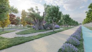 Başkan Büyükakın, ‘’Sağlıklı Yaşam Parkı için çok titiz çalıştık’’