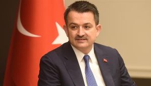 Bayram öncesi müjde geldi, ödemeler başlıyor!