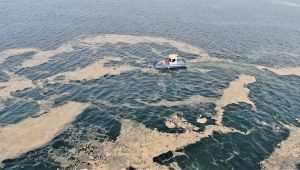 Deniz salyası ile nefes kesen mücadele