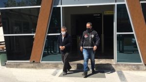 İnternet dolandırıcıları polis operasyonuyla yakalandı