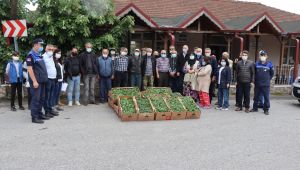 İzmit köylülerine 144 bin hibe fide