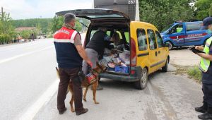 Jandarma asayiş denetimlerinde göz açtırmadı
