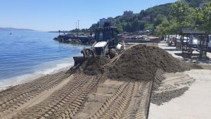 Kandıra’dan alınan kumlar plajlara seriliyor