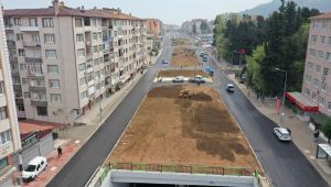 Karamürsel Köprülü Kavşağı’na ağaçlar dikildi