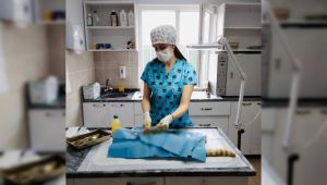 Körfez’de sokak hayvanlarının ihtiyaçları karşılanıyor