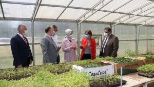 'Sandıktan Toprağa Ata Tohum Projesi' Çalışmaları Yerinde İncelendi