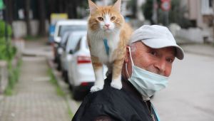 Şehir şehir, sokak sokak kedisini omzunda gezdiriyor