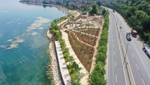 Aktif Park, şekillenmeye başladı