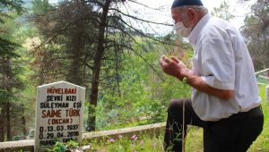 Asırlık çınarın hüzünlendiren hikayesi