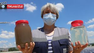 Atık suyun değişimi şaşırtıyor