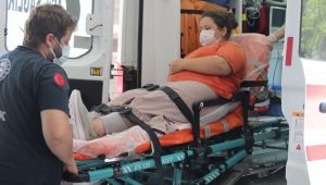 Bahçede yılan sokan genç kız hastanelik oldu