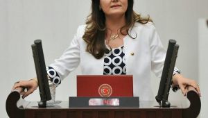 Başkan Hürriyet Marmara Denizi'ndeki salya krizini anlattı