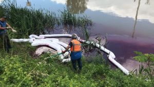 Büyükşehir, çevre felaketinin önüne geçti