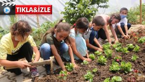 Daha önce hiç böyle bir köy okulu görmediniz